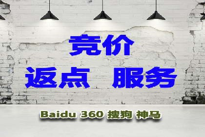 成功SEM投放案例分享